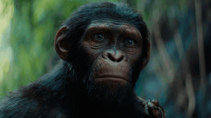 Primeiro trailer de Planeta dos Macacos: O Reinado
